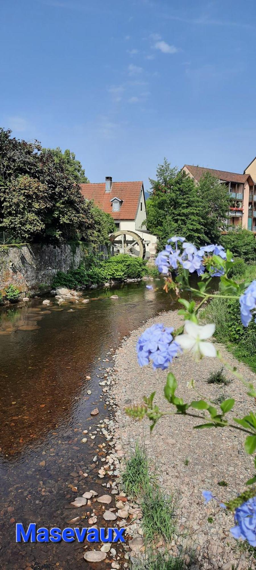 Gite Au Petit Verger Masevaux-Niederbruck Стая снимка